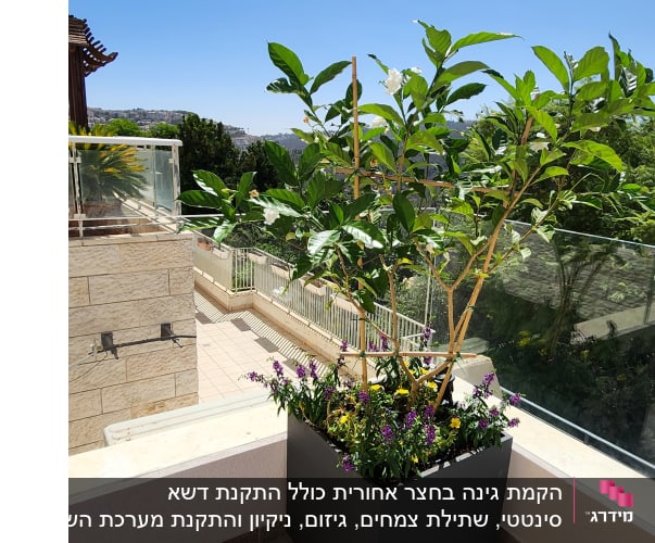 עציץ גדול עם צמח ירוק ופרחים צבעוניים